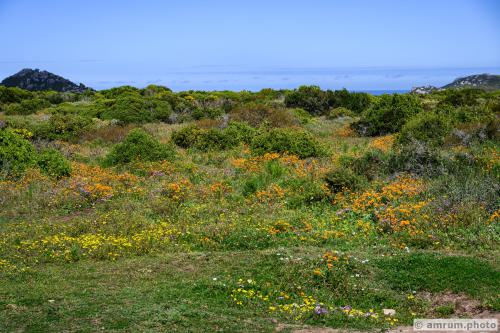 2023 amrum.photo 0003