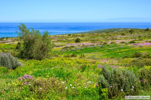 2023 amrum.photo 0015