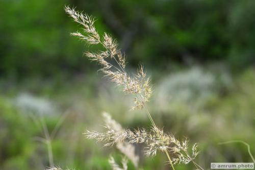 2023 amrum.photo 0115